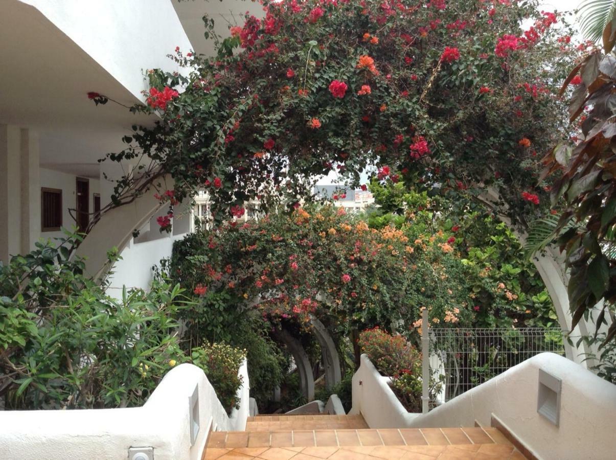 New Beautiful Apartment!Beaches Nearby!Ocean View! アデヘ エクステリア 写真